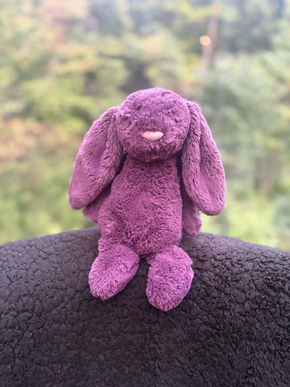 Retired Jellycat Plum Purple London Bashful Bunny Rabbit Plush